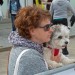 citylauf-2015-bambini-schueler0075