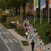 citylauf-2015-bambini-schueler0132