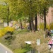 citylauf-2015-bambini-schueler0133