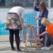 citylauf-2015-impressionen0017