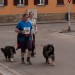 citylauf-2015-erwachsenenlauefe-kasernendamm0062