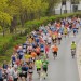 citylauf-2015-erwachsenenlauefe-bruecke0009