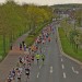citylauf-2015-erwachsenenlauefe-bruecke0013