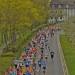 citylauf-2015-erwachsenenlauefe-bruecke0016