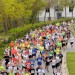 citylauf-2015-erwachsenenlauefe-bruecke0028