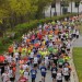 citylauf-2015-erwachsenenlauefe-bruecke0029
