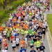 citylauf-2015-erwachsenenlauefe-bruecke0031