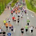 citylauf-2015-erwachsenenlauefe-bruecke0038