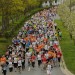 citylauf-2015-erwachsenenlauefe-bruecke0045