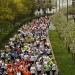 citylauf-2015-erwachsenenlauefe-bruecke0046