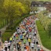 citylauf-2015-erwachsenenlauefe-bruecke0048