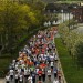 citylauf-2015-erwachsenenlauefe-bruecke0049