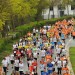 citylauf-2015-erwachsenenlauefe-bruecke0051