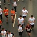 citylauf-2015-erwachsenenlauefe-bruecke0052
