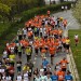 citylauf-2015-erwachsenenlauefe-bruecke0055