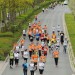 citylauf-2015-erwachsenenlauefe-bruecke0063