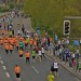 citylauf-2015-erwachsenenlauefe-bruecke0064