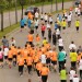 citylauf-2015-erwachsenenlauefe-bruecke0066