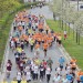 citylauf-2015-erwachsenenlauefe-bruecke0069