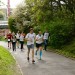 citylauf-2015-erwachsenenlauefe-rothenburger0103
