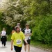 citylauf-2015-erwachsenenlauefe-rothenburger0111