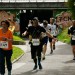 citylauf-2015-erwachsenenlauefe-rothenburger0154
