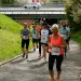 citylauf-2015-erwachsenenlauefe-rothenburger0159