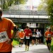 citylauf-2015-erwachsenenlauefe-rothenburger0177