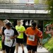 citylauf-2015-erwachsenenlauefe-rothenburger0188