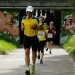citylauf-2015-erwachsenenlauefe-rothenburger0195