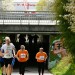 citylauf-2015-erwachsenenlauefe-rothenburger0200