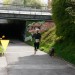 citylauf-2015-erwachsenenlauefe-rothenburger0411