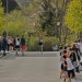 citylauf-2015-erwachsenenlauefe-ziel0108