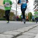 citylauf2017#001-005-(83)