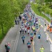 citylauf2017#001-005-(155)