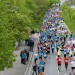 citylauf2017#001-005-(164)