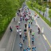 citylauf2017#001-005-(169)