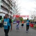 citylauf2017#001-005-(259)